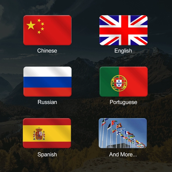 Z919 language